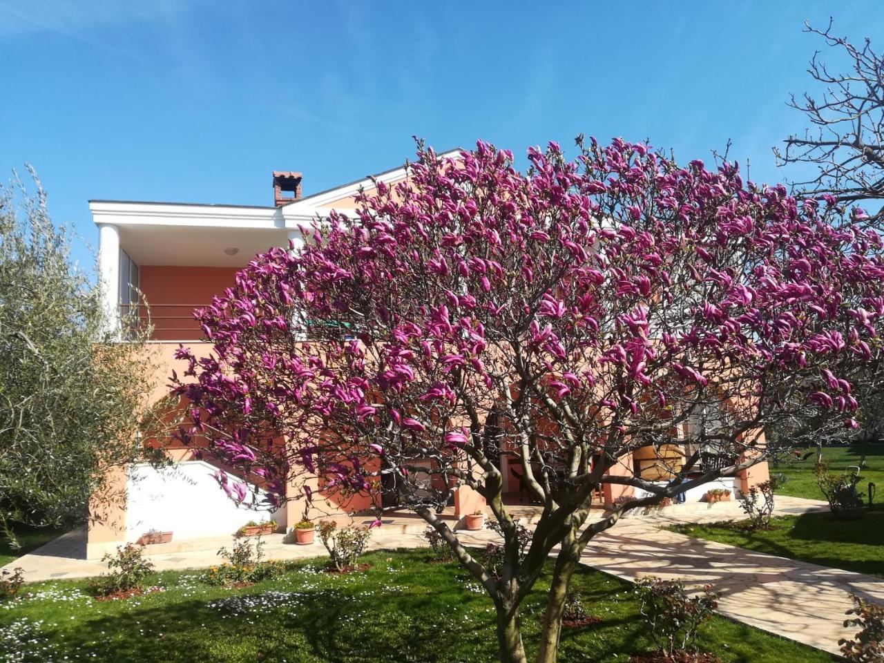 B&B Carmela Umag Extérieur photo