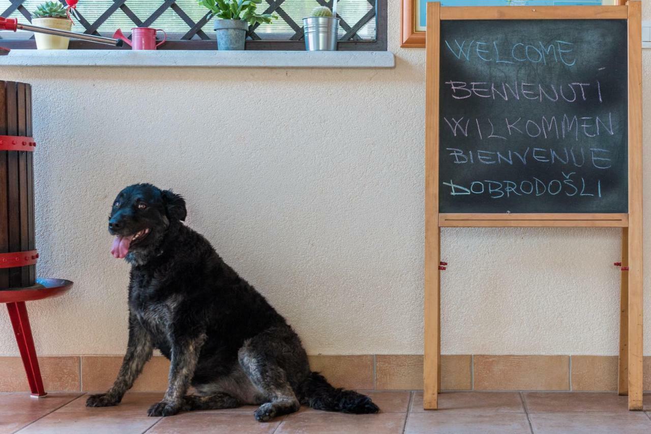 B&B Carmela Umag Extérieur photo