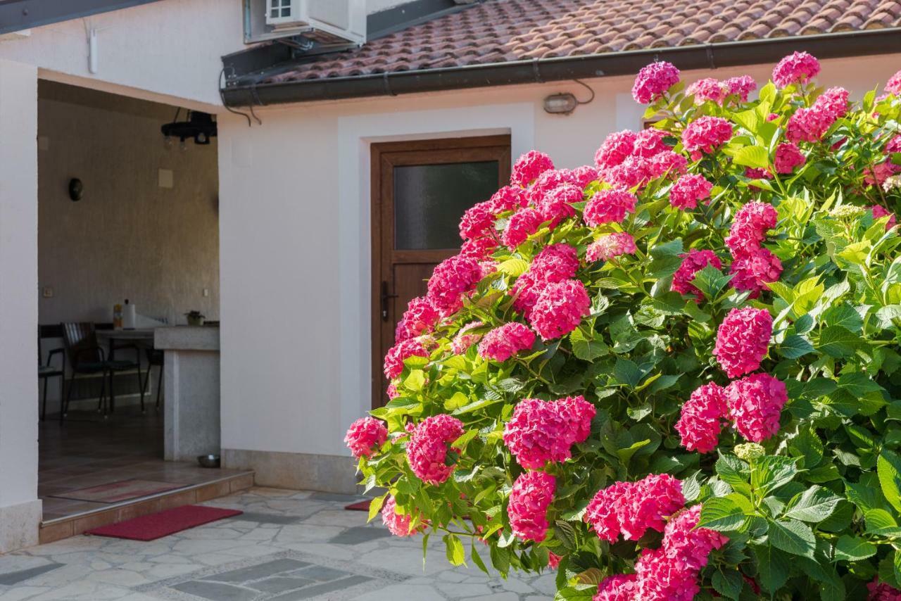 B&B Carmela Umag Extérieur photo