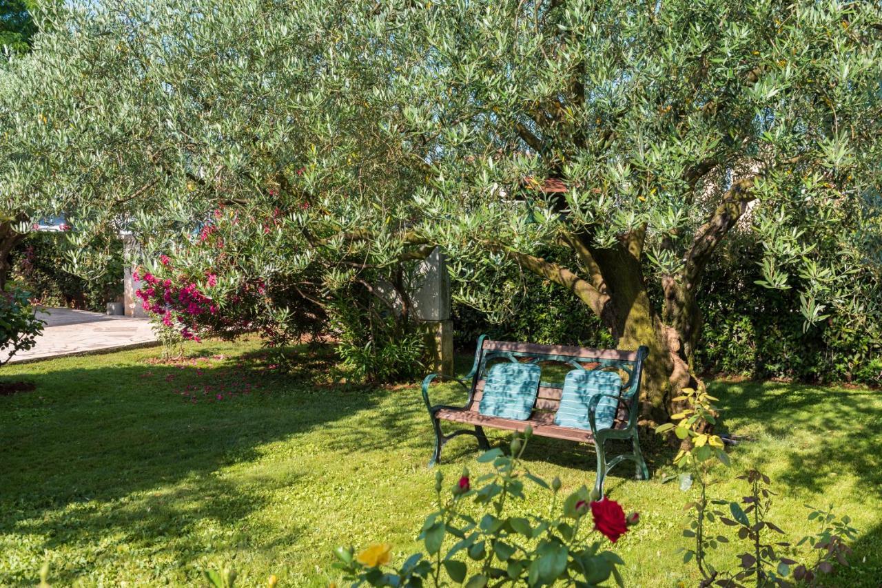 B&B Carmela Umag Extérieur photo